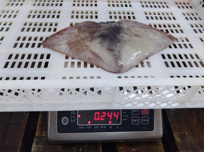 冷凍魷魚(yú)耳 FROZEN GIANT SQUID WINGS