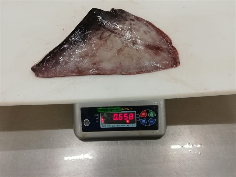 冷凍魷魚(yú)耳 FROZEN GIANT SQUID WINGS